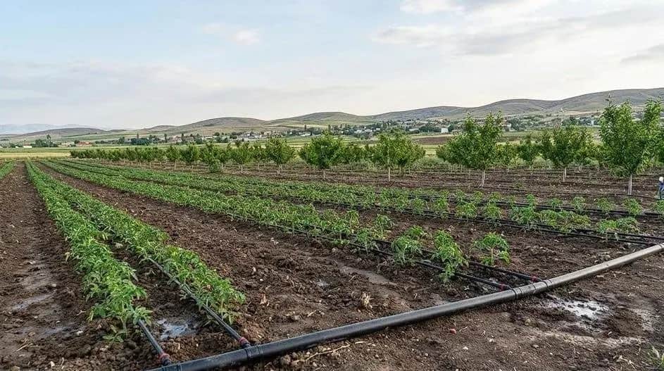 Dev Hibe Desteği Başladı Malatya’da Yatırım Yapacaklara 30 Milyon TL’ye Kadar Destek
