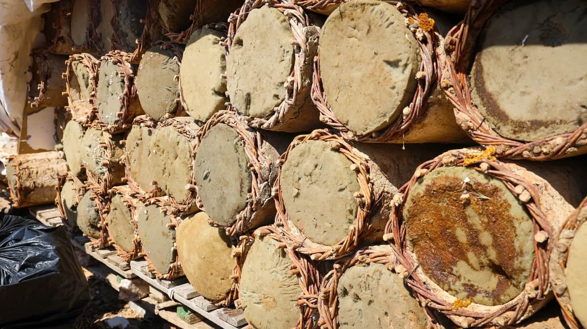 Pütürge’nin Zengin Florasında Bal Hasadı Başladı