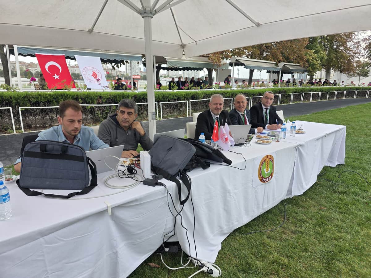 Veliefendi’de Sultansuyu Tayları İçin Milyonlar Yarıştı