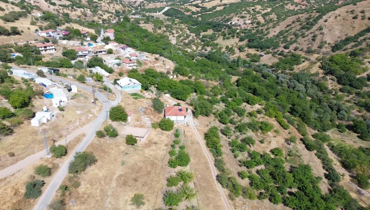 Doktorluktan Emekli Oldu, Köyüne Dönüp Fıstık Üretimine Başladı