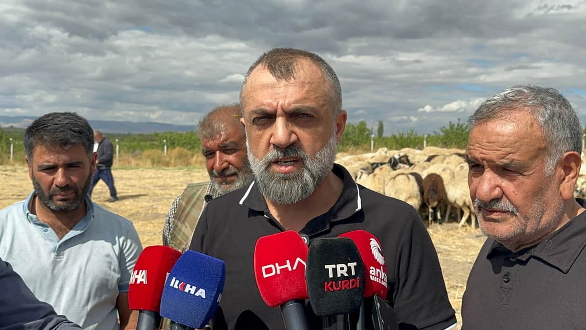 Malatya’da Küçükbaş Yetiştiricisinin Gündemi: Mera Ve Çoban Sorunu