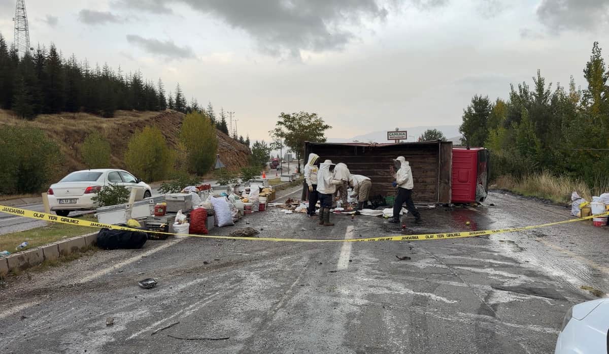 Malatya’da Arı Yüklü Kamyon Devrildi: 3 Yaralı