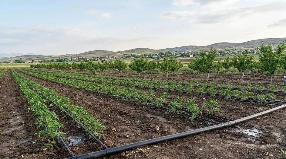Dev Hibe Desteği Başladı Malatya’da Yatırım Yapacaklara 30 Milyon TL’ye Kadar Destek