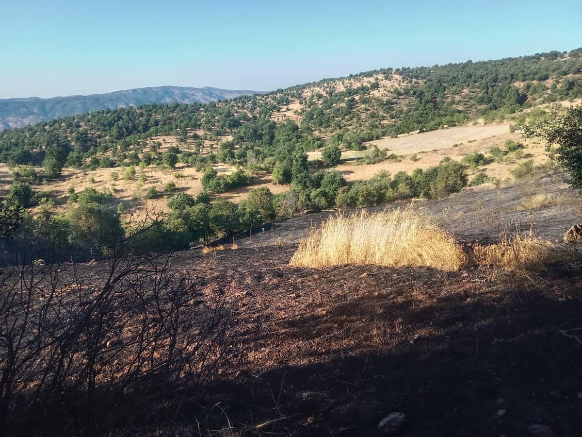 Pütürge’de Yangın: 2 Ev ve 20 Dönümlük Alan Küle Döndü