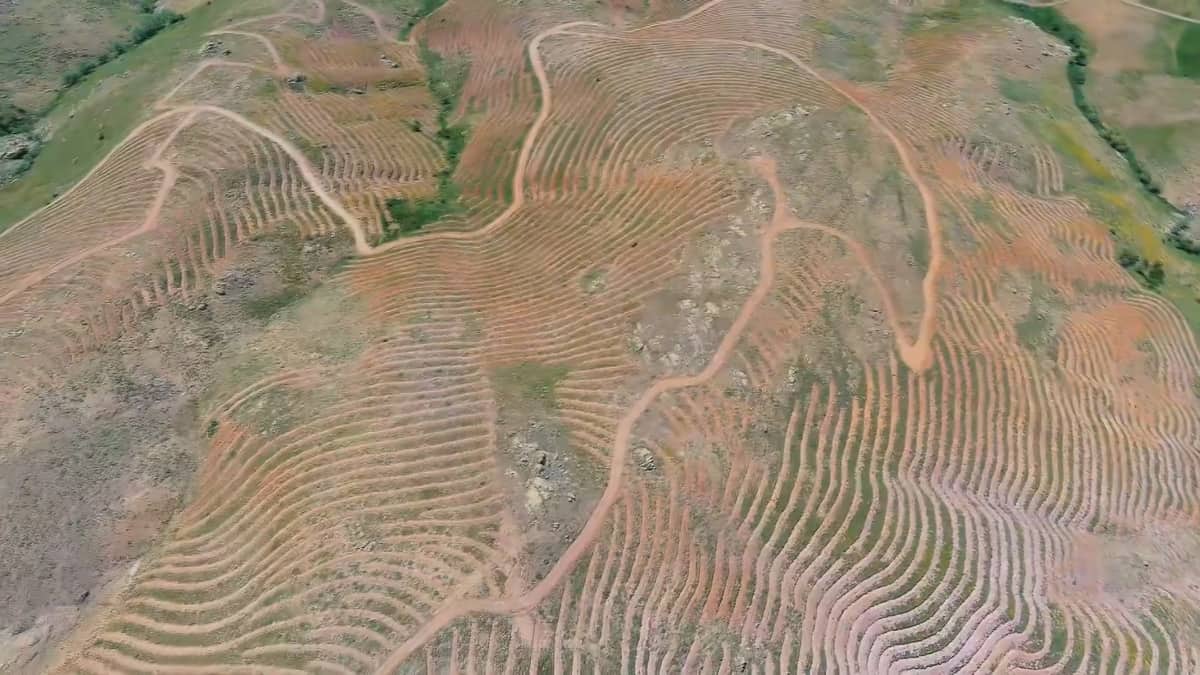Pütürge'de 400 Hektarlık Ağaçlandırma Çalışması: Yeşil Vatan Büyüyor