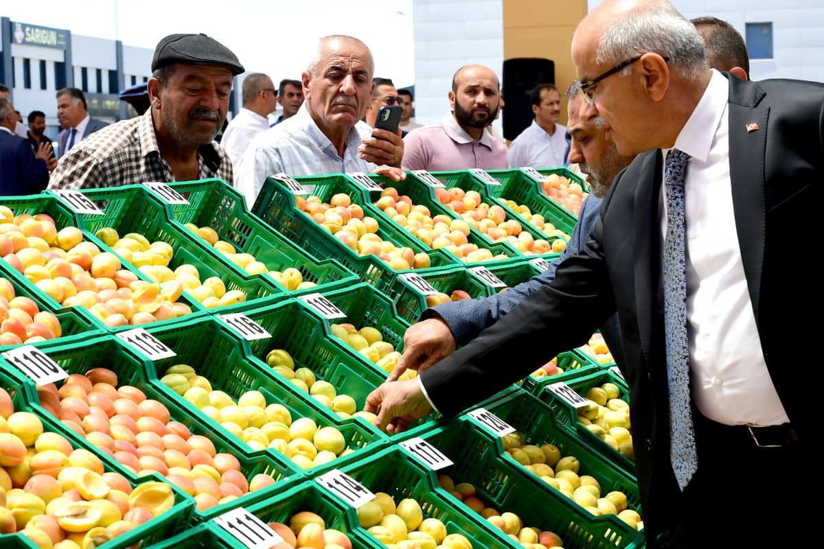 En İyi Yaş Kayısılar Ödüllendirildi: Doğanşehir Tüm Birincilikleri Kaptı