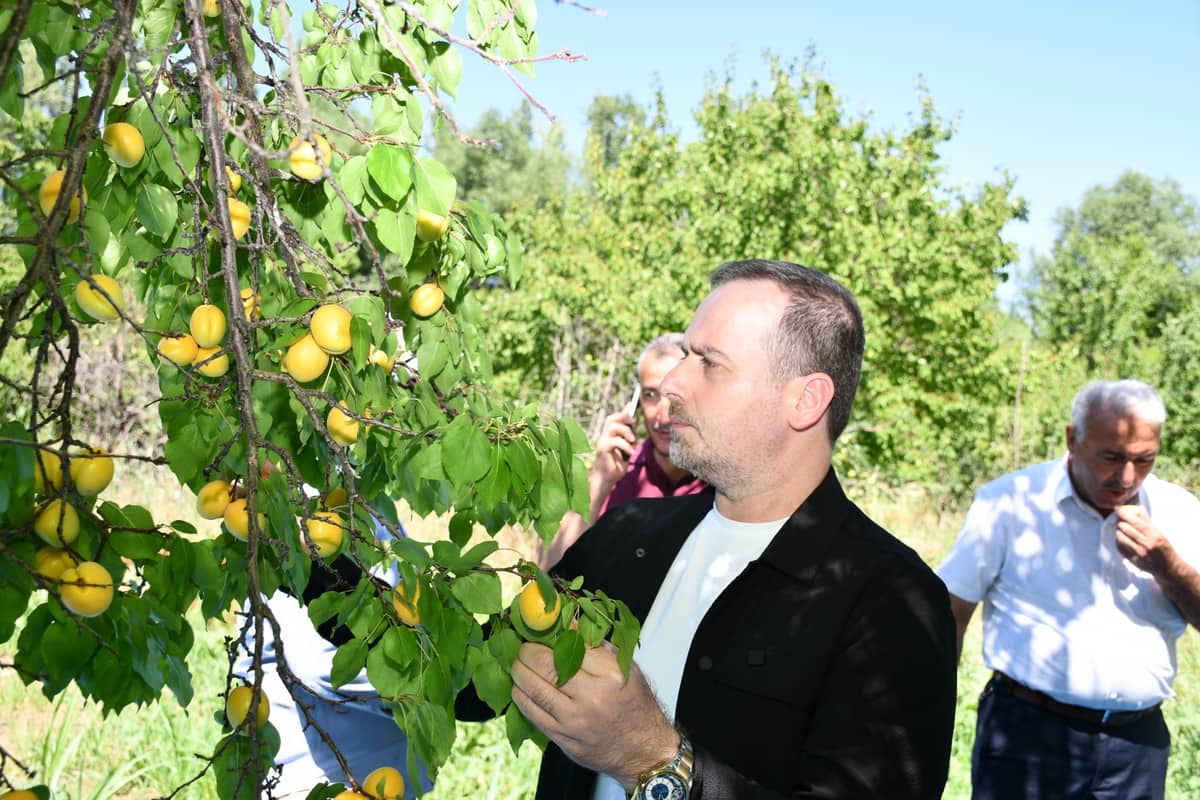 Karademir "Kayısı Malatya'nın Can Damarıdır"
