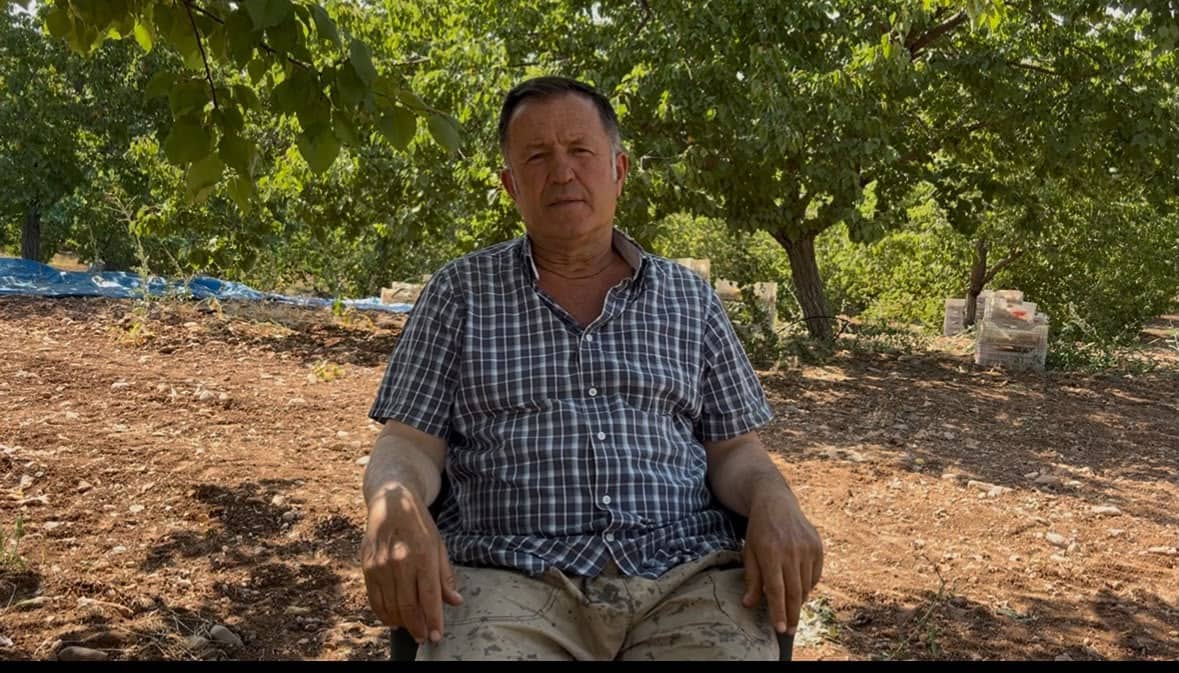 Kayısı üreticisi isyan etti: “225 liraya ürün satmak, üreticiyi bitirir”