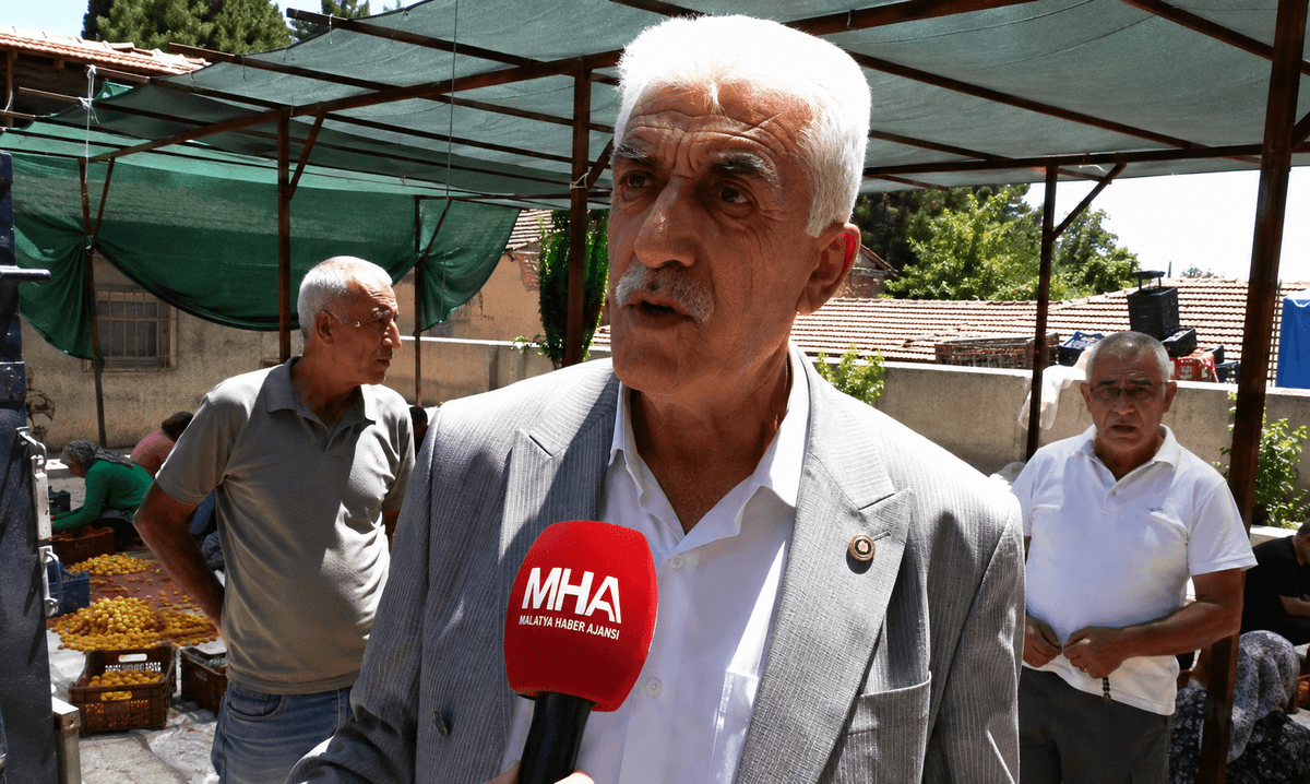 Kayısı Üreticisinden TMO Çağrısı: “Fiyat Maliyetin Altında, Müdahale Şart”