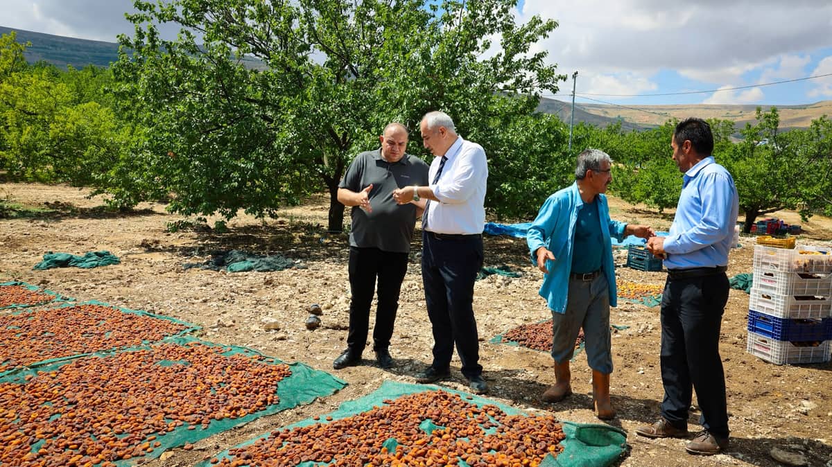 Hekimhan’da Selin Tarıma Verdiği Zarar Yerinde İncelendi