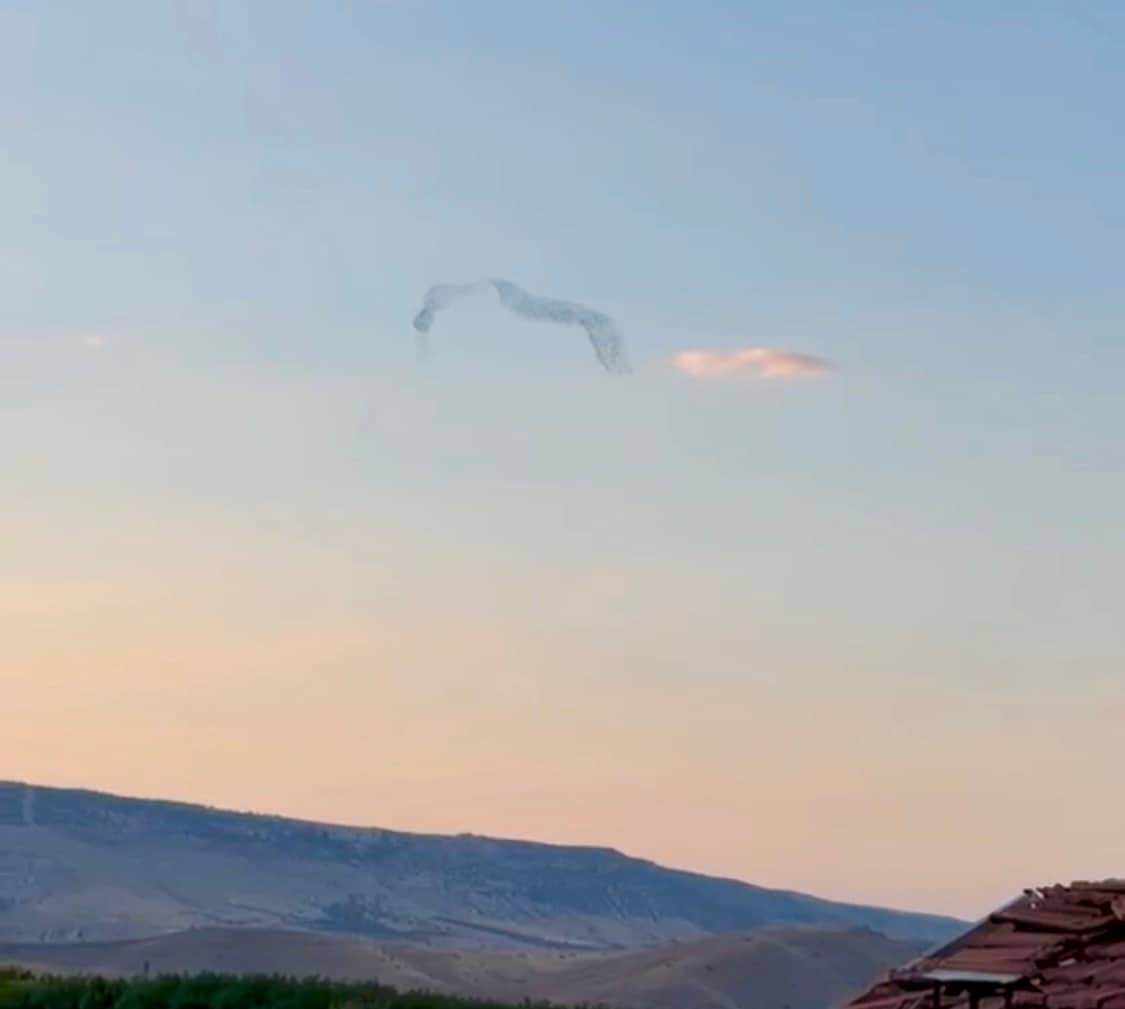 Gün Batımına Kuşların Dansı Eşlik Etti