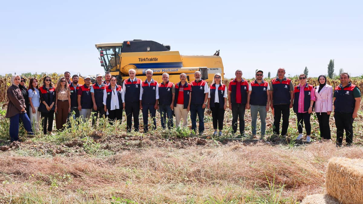 Malatya’nın Ayçiçeği Üssü Yazıhan’da Hasat Zamanı